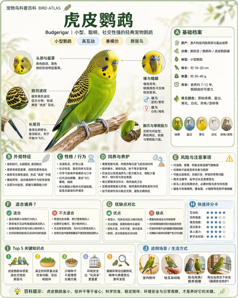 关系图谱信息图 - AI生成效果图